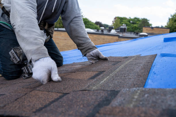 Sealant for Roof in Avon, MN