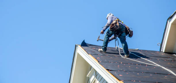 Professional Roofing Contractor in Avon, MN
